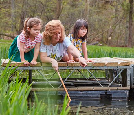 teacher and girls on dock looking at fish in the water