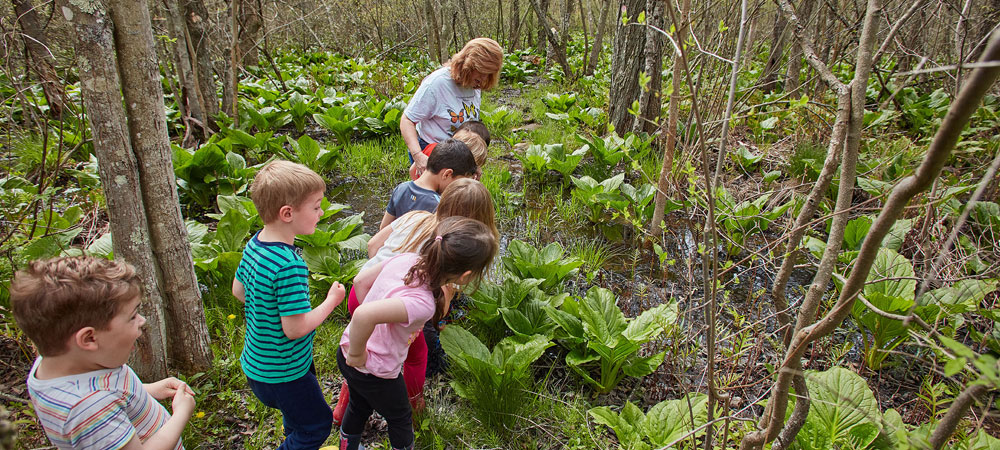 Junior Kindergarten students and teacher exploring nature in a marsh